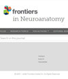 Frontiers in Neuroanatomy封面